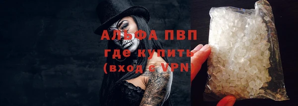 ешки Инта