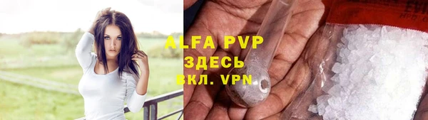 ешки Инта