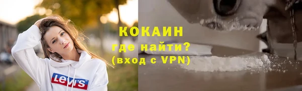 твердый Иннополис