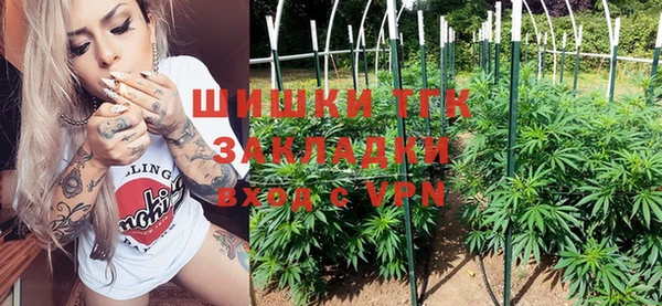 ешки Инта