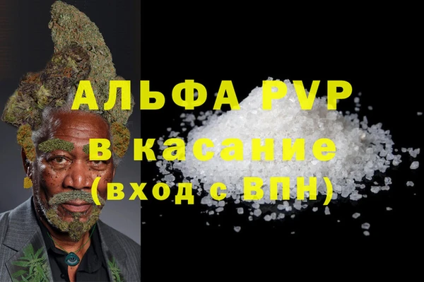 ешки Инта