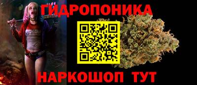 крисы Заволжье