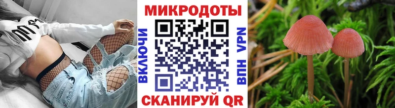 Галлюциногенные грибы Psilocybine cubensis  Купить  Малоярославец 