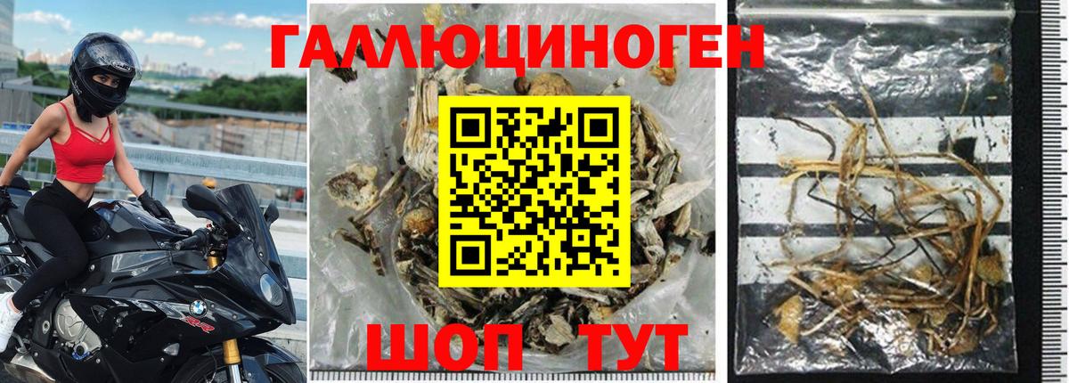 Псилоцибиновые грибы Magic Shrooms Малоярославец